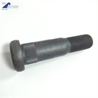 Black zn high strength round head ribbed neck bolt